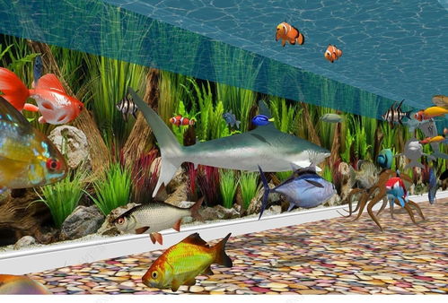 水族鱼类设计模型下载